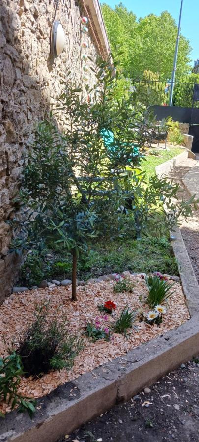 Le 9 De Cour, Chambre Caouette Carcassonne Esterno foto